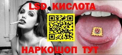 Альфа ПВП Новодвинск