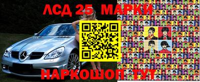Альфа ПВП Новодвинск