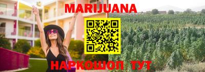 Альфа ПВП Новодвинск