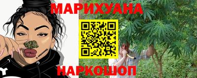 Альфа ПВП Новодвинск