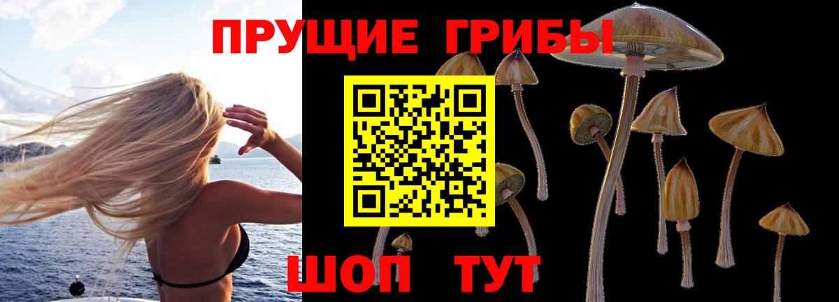 Тимашёвск  Галлюциногенные грибы мухоморы  Вход с VPN 